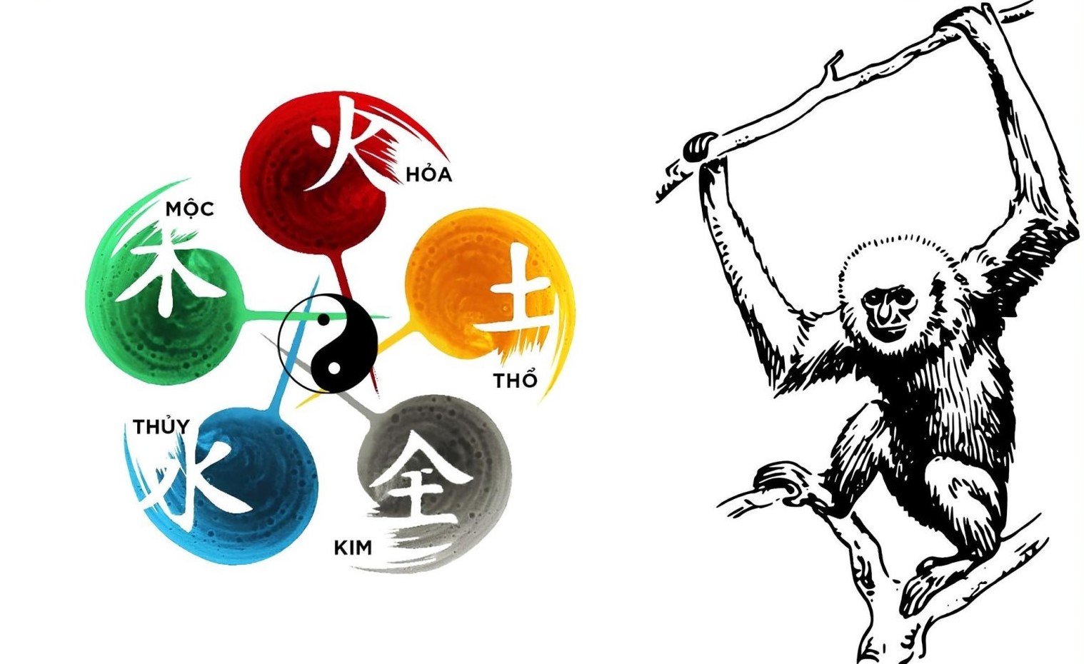 Tìm hiểu về mệnh Giáp Thân 2004 và các màu khắc