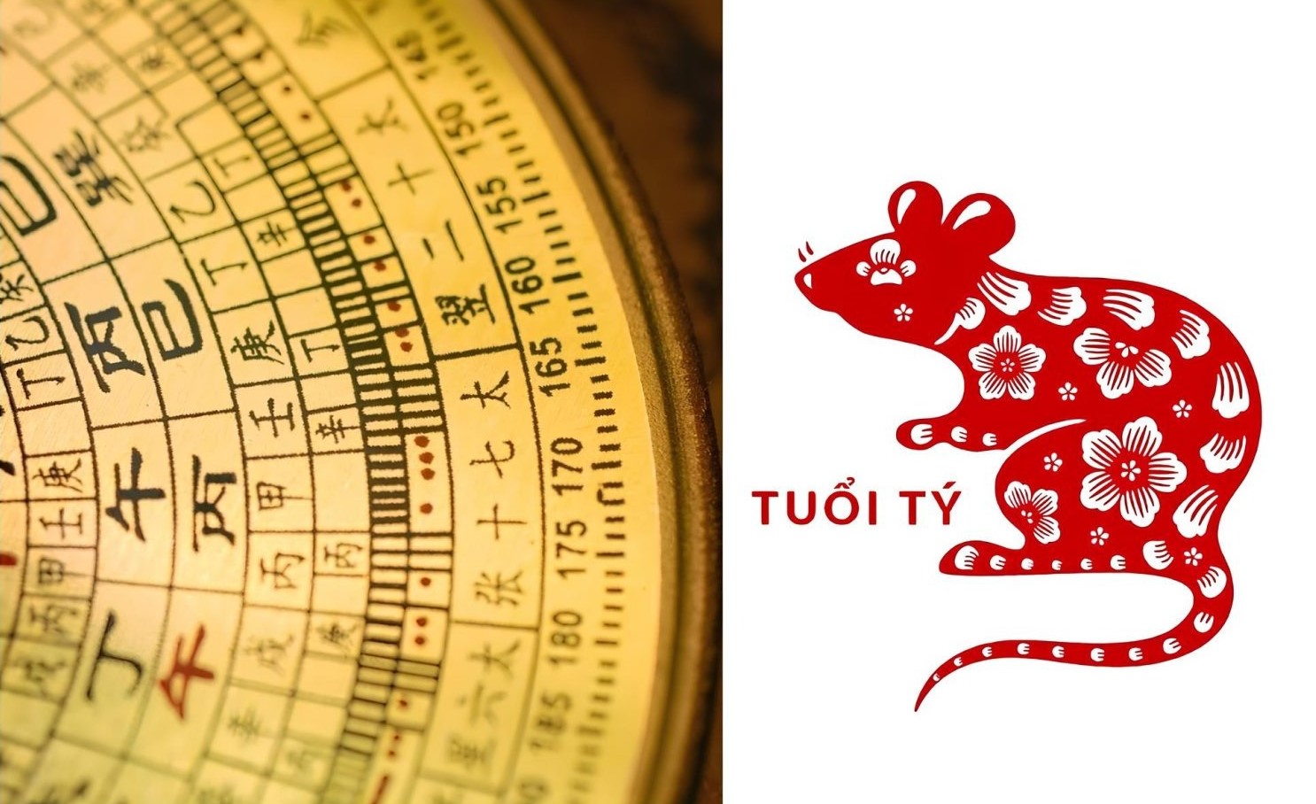 Tìm hiểu về bản mệnh Mậu Tý 2008