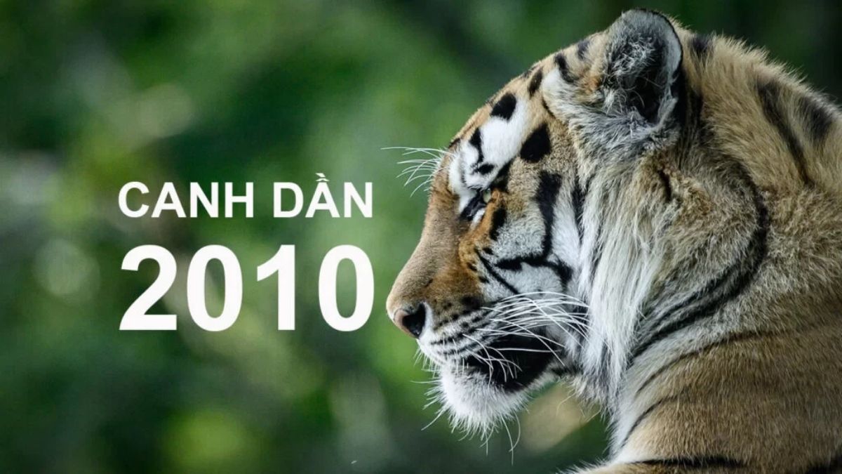 Người sinh năm 2010 mang Thiên can Canh thuộc hành Kim và Địa chi Dần thuộc hành Mộc