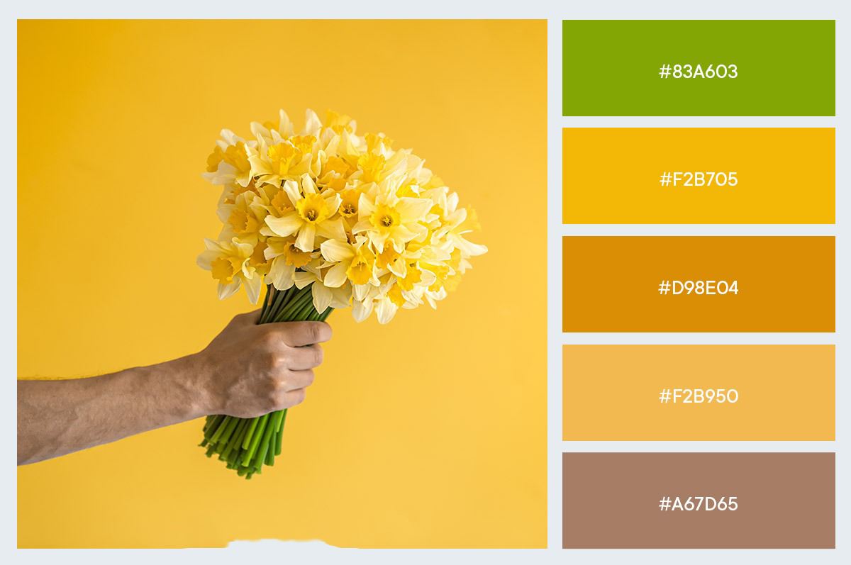 Nam Quý Tỵ 2013 khắc với các màu thuộc Thổ và Mộc