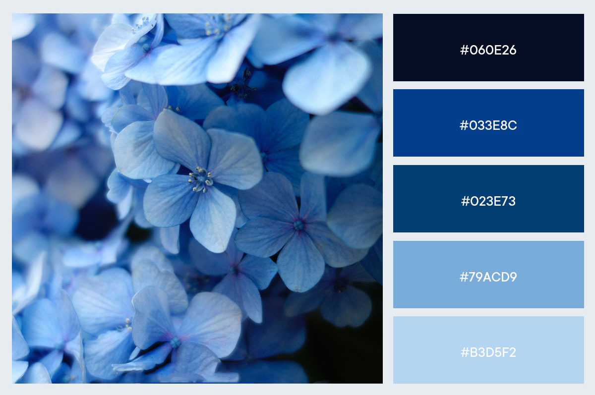 Nữ Quý Tỵ 2013 hợp với các màu thuộc hành Thủy và Kim