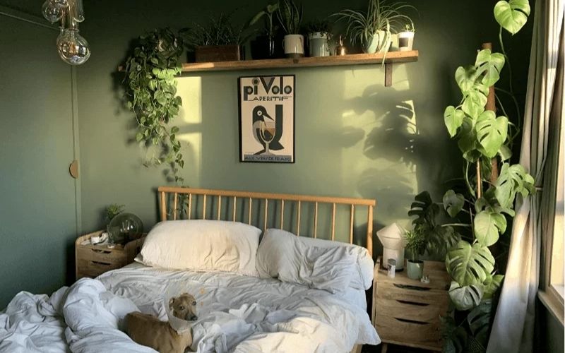 Tránh sử dụng xanh lá quá nhiều để bảo vệ vận khí và sức mạnh nội lực của nữ Bính Tuất