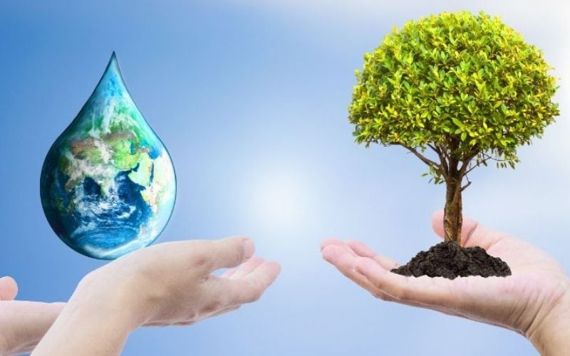 Hành Mộc của Tân Dậu gặp Thiên Hà Thủy năm 2026, cát khí được nhân đôi nếu nam Tân Dậu xuất hành đúng hướng 