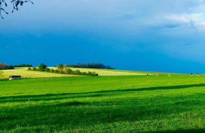 Nam sinh năm 1959 tuổi Kỷ Hợi mang mệnh Bình Địa Mộc