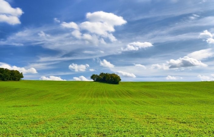 Nữ mạng sinh năm 1959 Kỷ Hợi mang mệnh Bình Địa Mộc