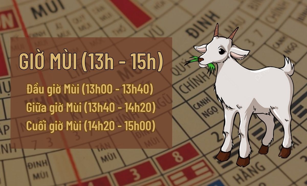 Giờ Mão và giờ Mùi là các khung giờ hoàng đạo để nam Kỷ Sửu 2009 xuất hành trong ngày đầu năm 2026