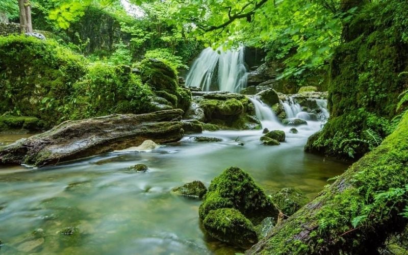 Bản mệnh nữ mạng Ất Mão 1975 thích nghi tốt với mọi hoàn cảnh