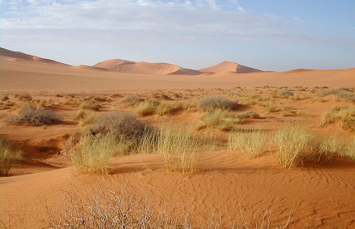 Nữ mạng sinh năm 1976 Bính Thìn có nạp âm Sa Trung Thổ