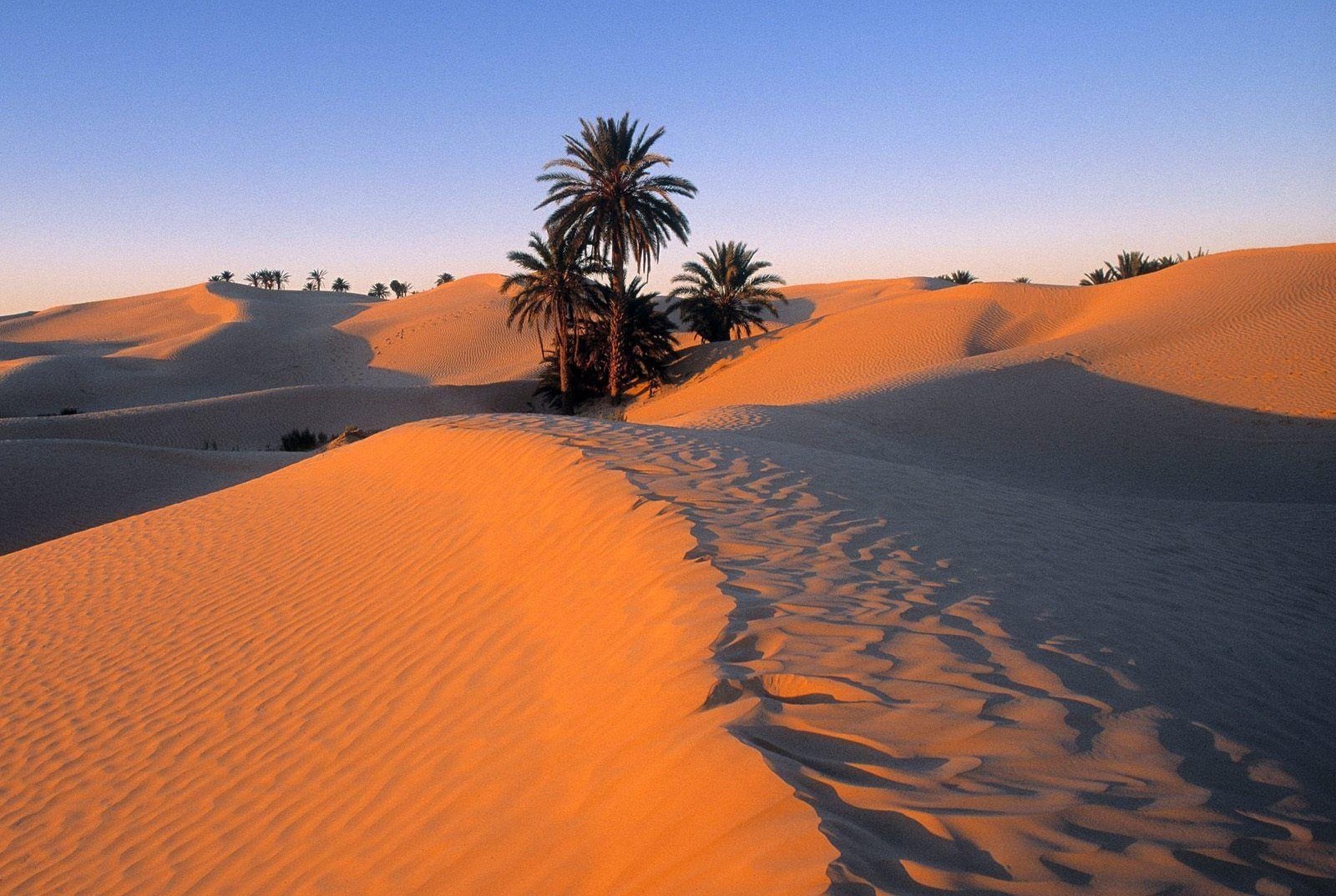 Nam sinh năm 1977 thuộc mệnh Sa Trung Thổ