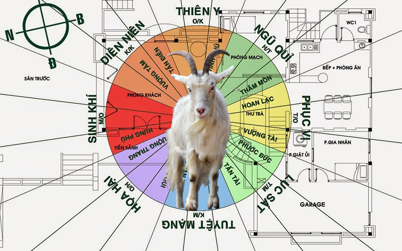 Nam Tân Mùi 1991 cung Ly Đông Tứ Mệnh