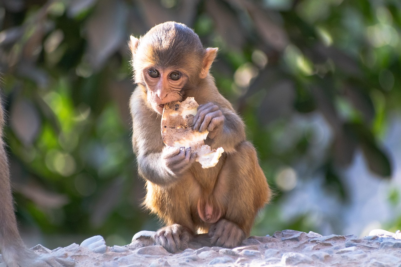 Nạp âm Kiếm Phong Kim gặp năm Bính Ngọ vượng Hoả khiến năm 2026 của nữ Nhâm Thân 1992 gặp một vài thử thách