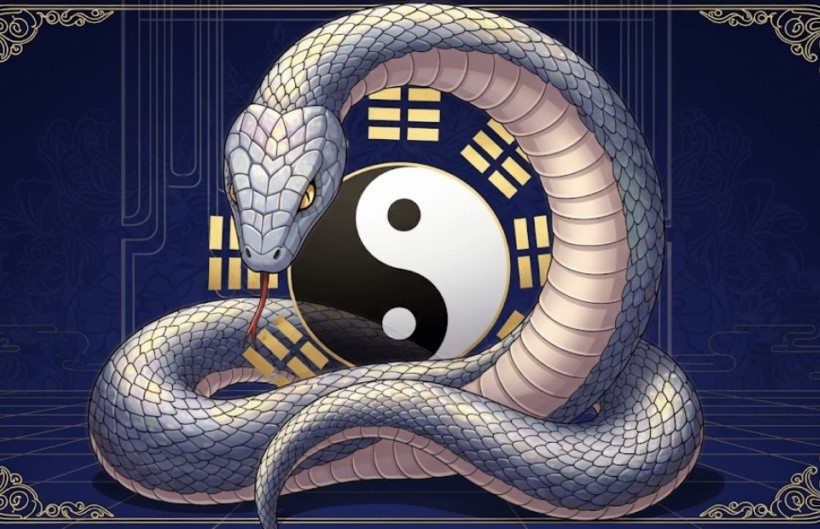 Tìm hiểu tổng quan về nam mạng tuổi 2001 Tân Tỵ trong năm 2026