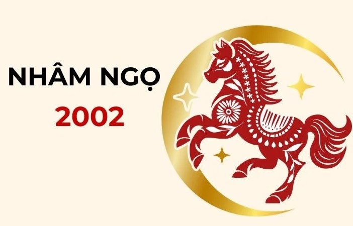 Tìm hiểu tổng quan về nam mạng tuổi 2002 Nhâm Ngọ năm 2026
