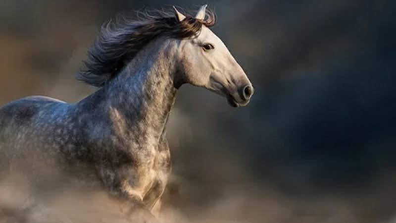 Xuất hành giờ tốt giúp nam mạng 2002 có thêm điểm tựa thuận lợi