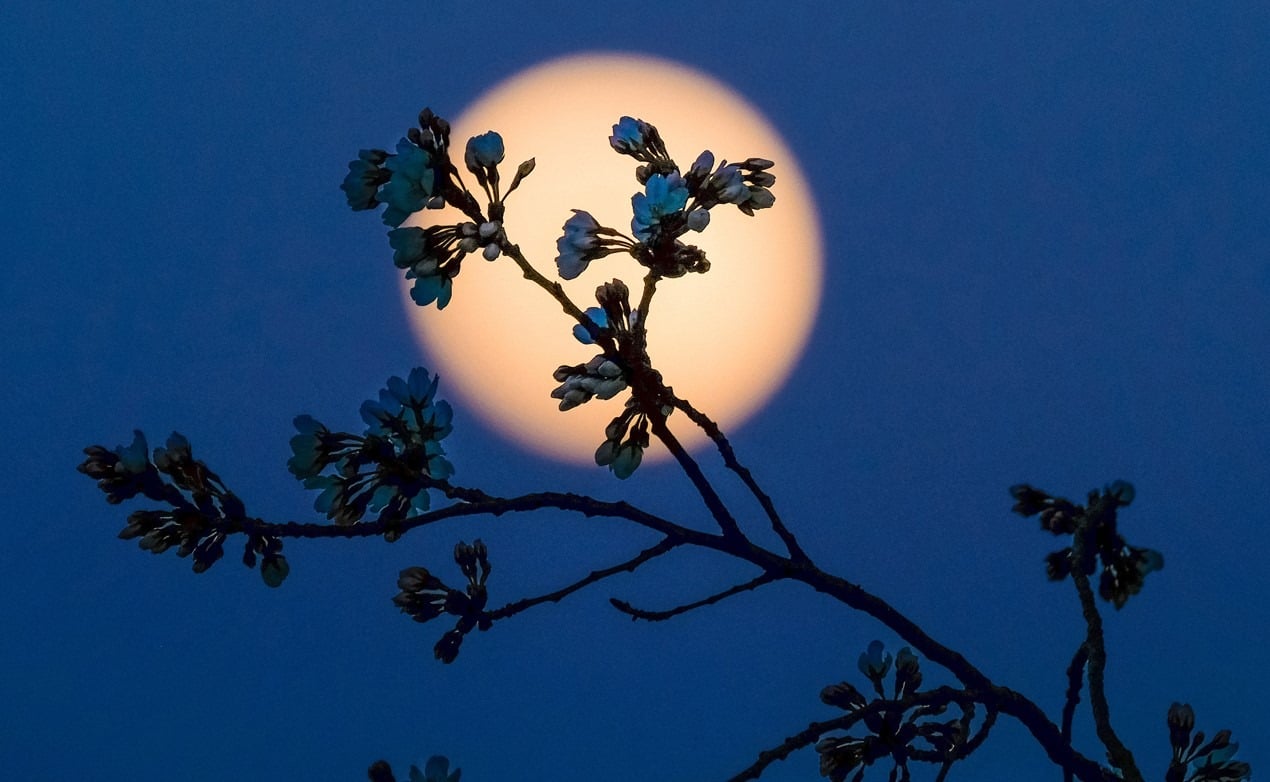 Trong tín ngưỡng dân gian và Đạo Phật, rằm tháng 10 âm lịch còn được gọi là Tết Hạ Nguyên