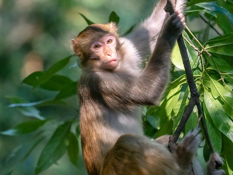 Các khung giờ tốt giúp nam Giáp Thân 2004 xuất hành hanh thông, thuận lợi