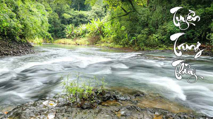 Nữ Giáp Thân 2004 mang mệnh Tuyền Trung Thuỷ