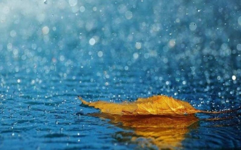 Năm 2026 Thiên Hà Thủy mang đến nhiều cơ hội kinh doanh với nữ Bính Ngọ