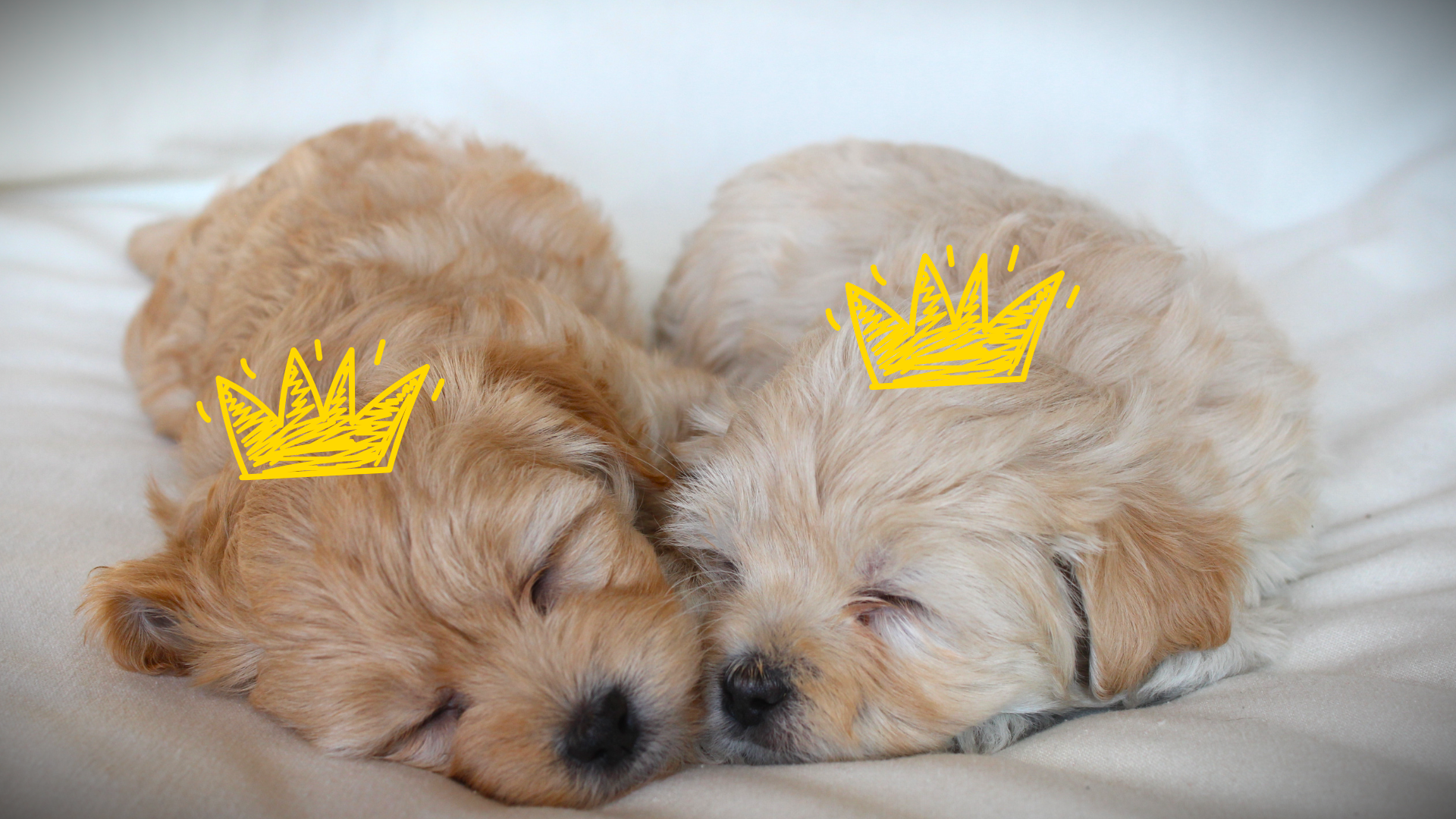 Nam Canh Tuất 1970 thuộc nạp âm Thoa Xuyến Kim