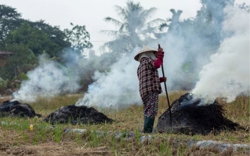 Đốt rơm rạ, chất thải cũng góp phần gây trầm trọng tình trạng ô nhiễm không khí tại Hà Nội 