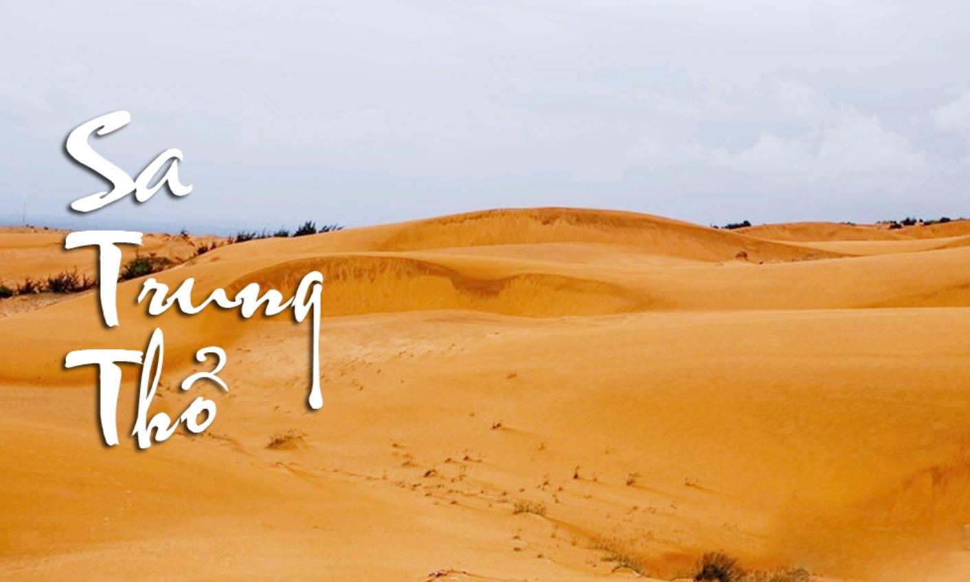 Bính Thìn 1976 mệnh Sa Trung Thổ, gặp hạn Kim Lâu năm 2026 nên cần mượn tuổi khai trương