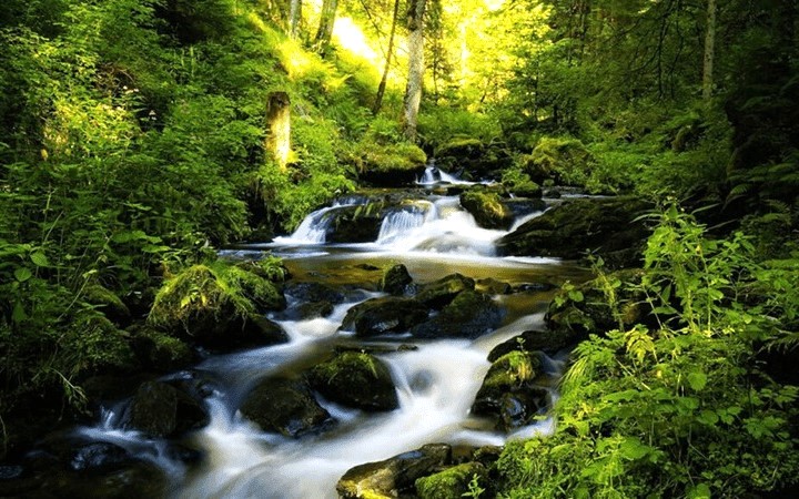 Người sinh năm 2004 Giáp Thân thuộc mệnh Tuyền Trung Thủy 