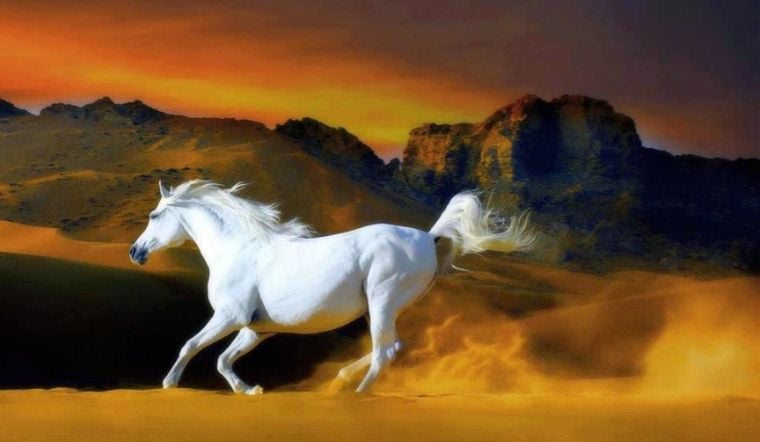 Nam mạng Bính Ngọ 1966 có tư duy nhanh nhạy, thông minh