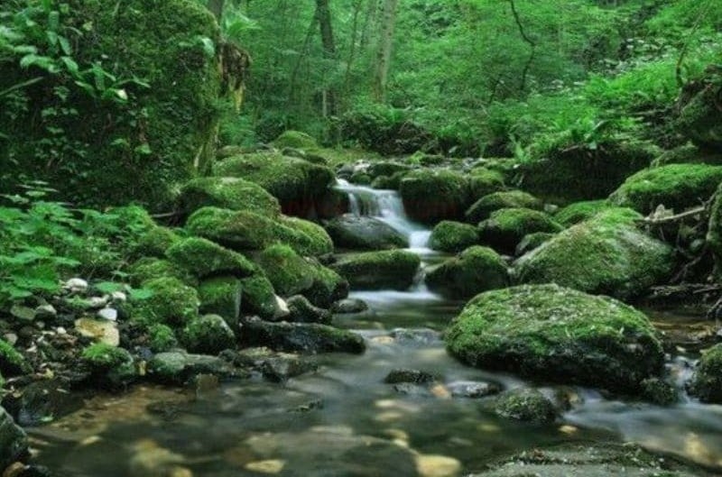 Nam sinh năm 1997 mang mệnh Giản Hạ Thủy