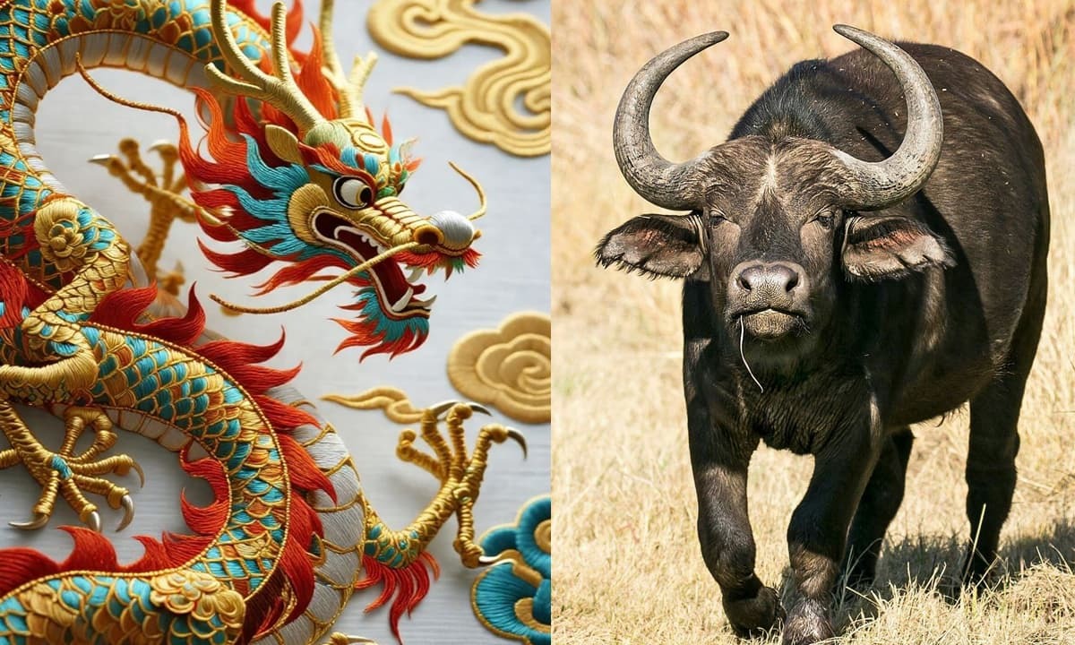 Nữ Nhâm Ngọ 2002 nên lấy chồng tuổi Canh Thìn, Đinh Sửu hoặc Bính Tuất