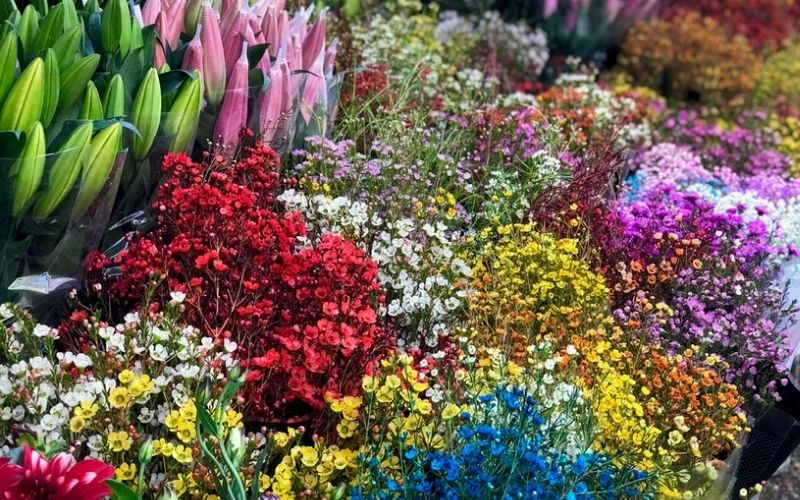 Hoa tươi luôn được nhiều người săn đón, trở thành mặt hàng bán chạy dịp Tết 