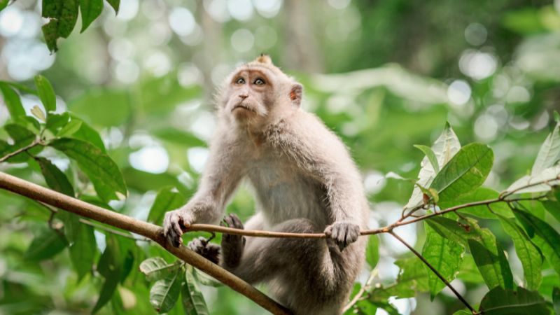 Năm 2026 là thời điểm lý tưởng để nữ Giáp Thân 2004 tổ chức cưới hỏi