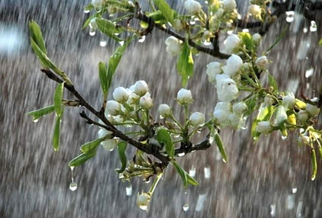 Nữ sinh năm 1967 tuổi Đinh Mùi có nạp âm Thiên Hà Thủy