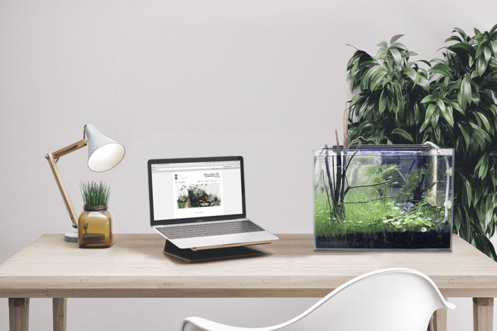 Không nên chọn hướng Tây Nam vì dễ gây xáo trộn thu nhập