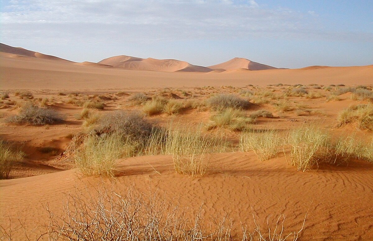 Nam mạng sinh năm 1977 thuộc tuổi Đinh Tỵ, ngũ hành Sa Trung Thổ