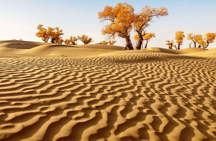 Nữ mạng sinh năm 1977 Đinh Tỵ có niên mệnh Sa Trung Thổ