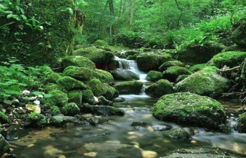 Gia chủ sinh năm 1996 Bính Tý thuộc mệnh Giản Hạ Thủy