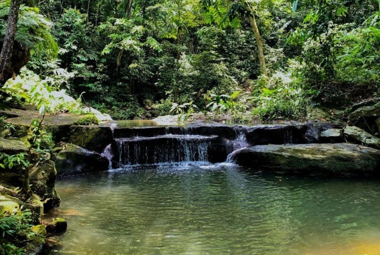 Nữ sinh năm 1996 thuộc tuổi Bính Tý, niên mệnh Giản Hạ Thủy