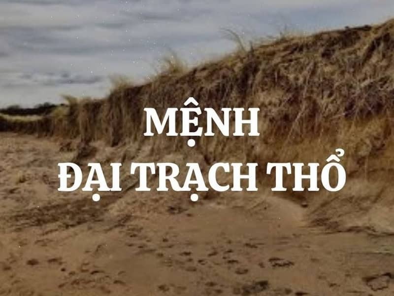 Tuổi 1968 Mậu Thân nên hợp tác làm ăn cùng tuổi có thể hỗ trợ nạp âm Đại Trạch Thổ của bản mệnh