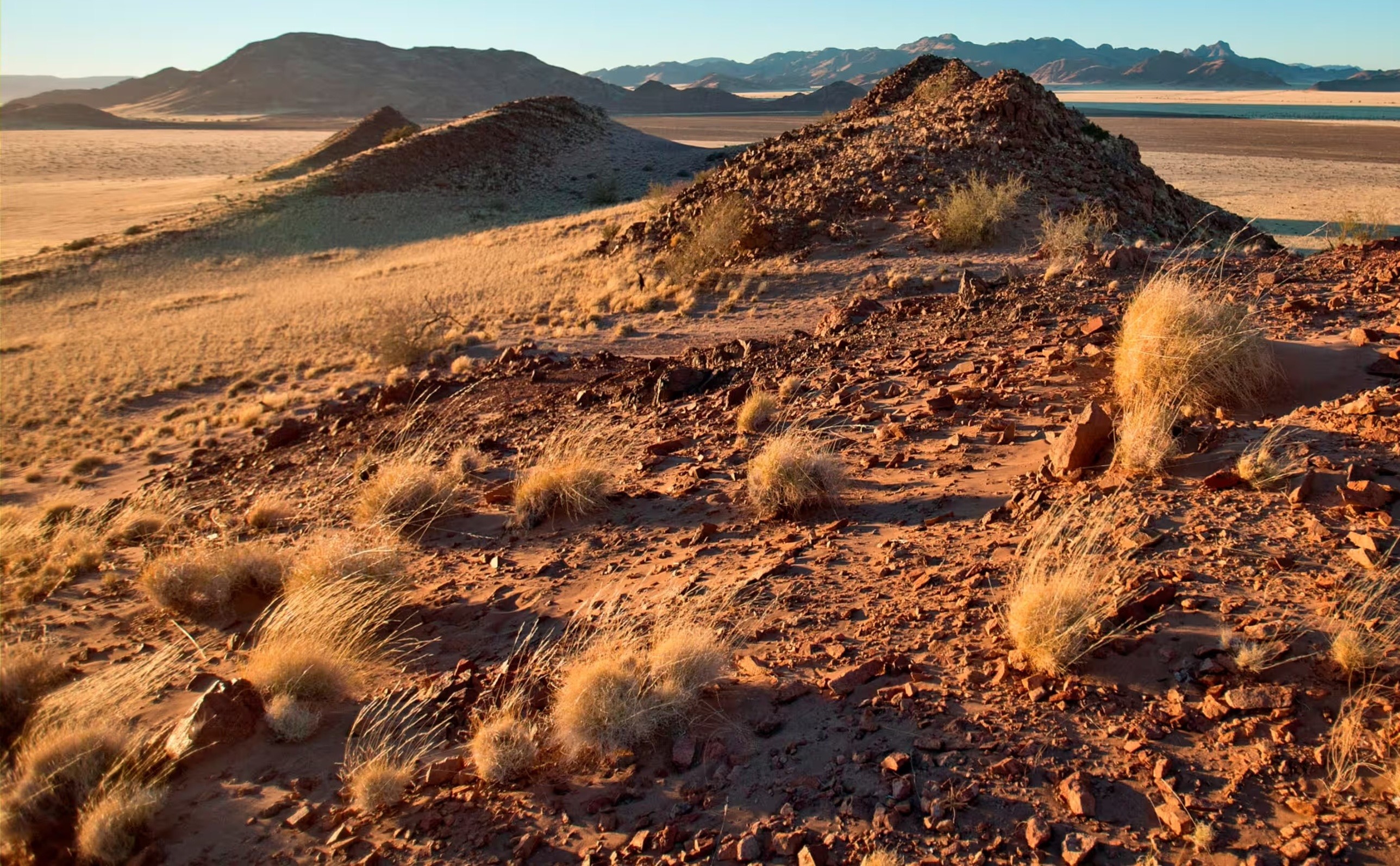 Người sinh năm 1977 tuổi Đinh Tỵ thuộc mệnh Sa Trung Thổ