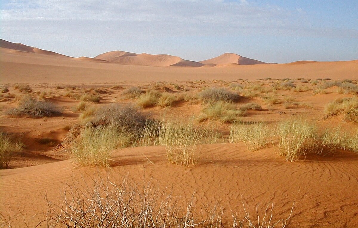 Người sinh năm 1977 tuổi Đinh Tỵ có nạp âm Sa Trung Thổ