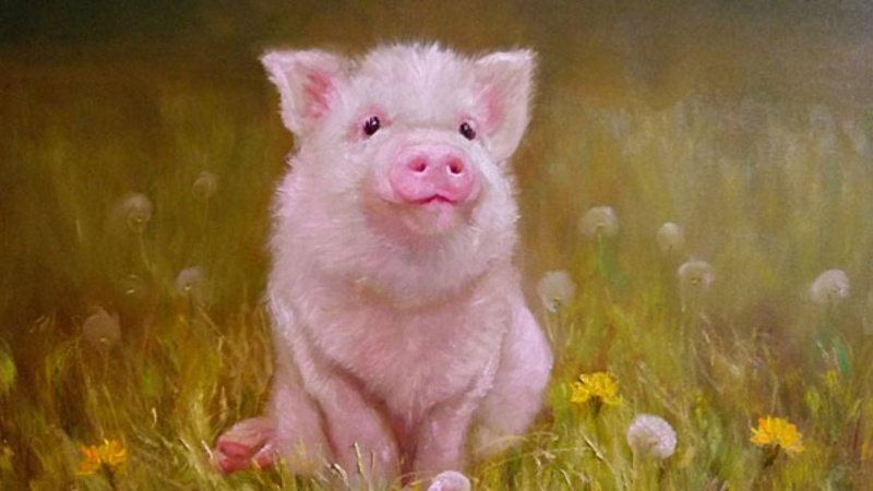 Nữ Tân Dậu và Quý Hợi rất hợp để cùng nhau khởi nghiệp