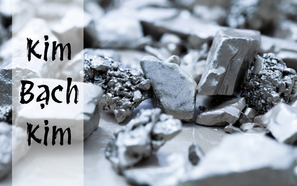 Người sinh năm 1962 thuộc mệnh Kim Bạch Kim