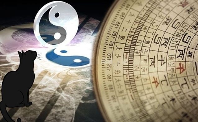 Người sinh năm 1963 cần thận trọng với những tuổi mang mệnh Hỏa hoặc có địa chi xung khắc mạnh với Mão