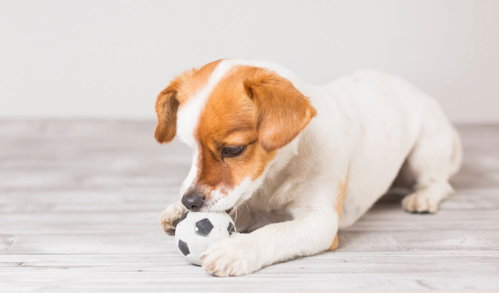 Hôm nay tuổi Thân có thể sẽ phải đối mặt với những mâu thuẫn và xung đột xảy ra với những người xung quanh