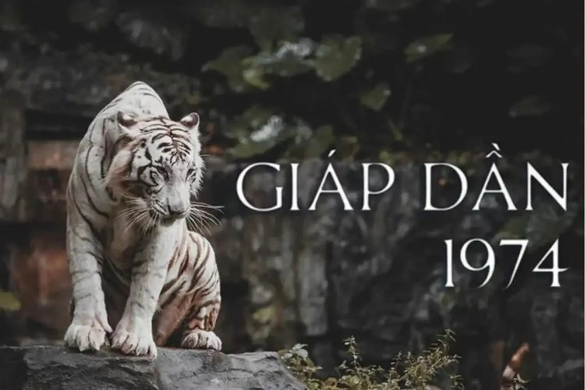 Ngày có can chi tương xung với gia chủ tuổi Giáp Dần không hợp để đổ trần lợp mái