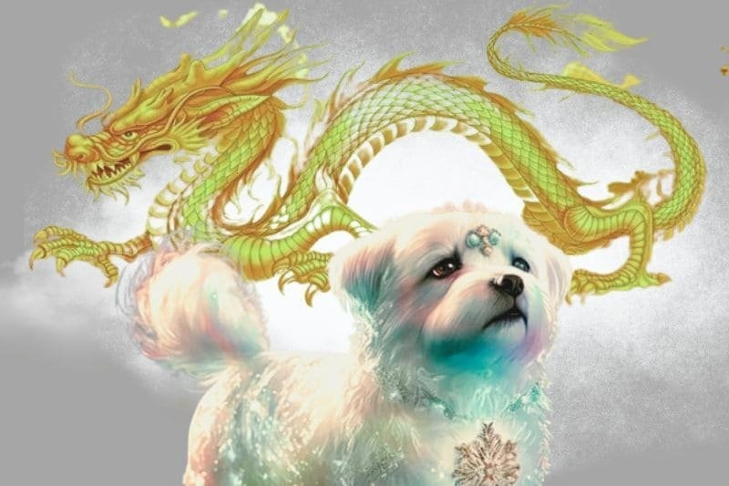 Tuổi Tuất nên tránh làm lễ ăn hỏi vào ngày Thìn