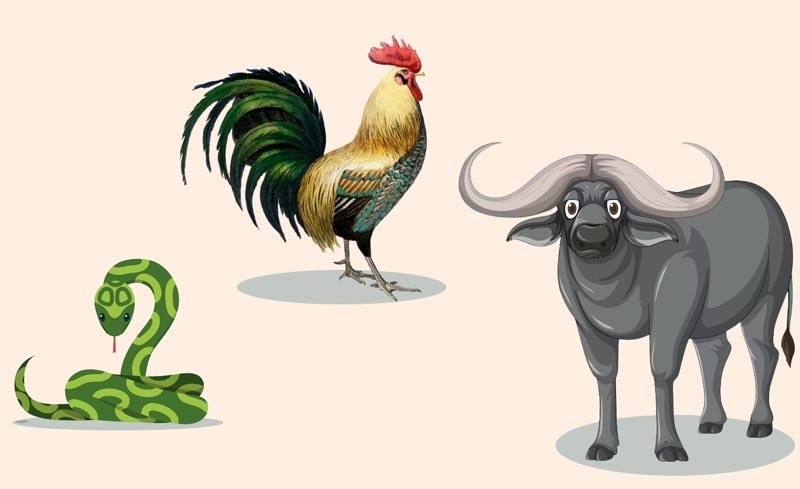 Gia chủ tuổi Tân Sửu 1961 nhập trạch vào ngày Dậu hoặc ngày Tỵ là tốt nhất