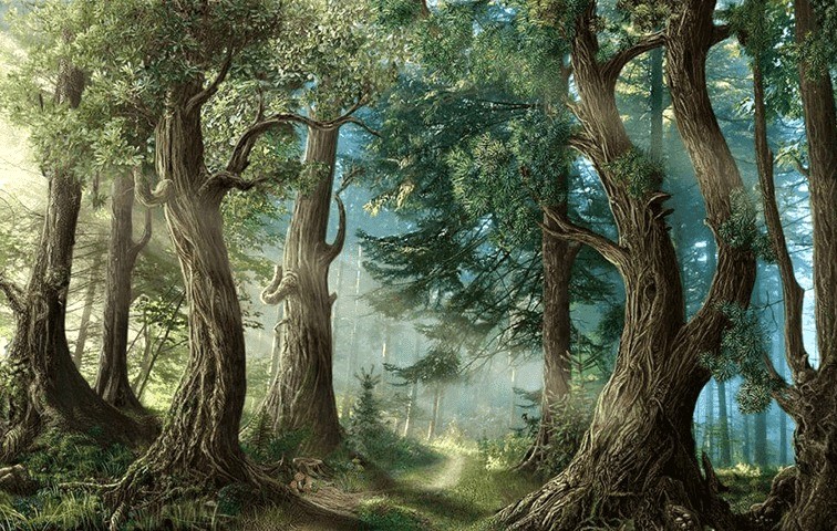 Gia chủ sinh năm Kỷ Tỵ 1989 thuộc mệnh Đại Lâm Mộc