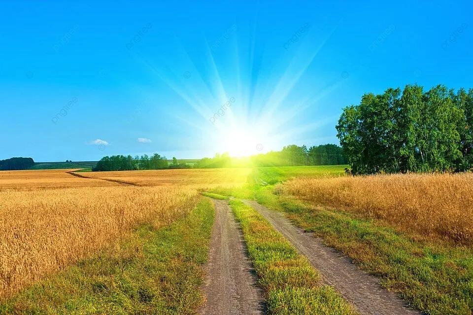 Gia chủ sinh năm Canh Ngọ 1990 thuộc mệnh Lộ Bàng Thổ