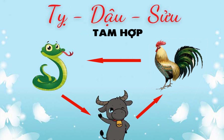 Tân Tỵ 2001 nên ưu tiên nhập trạch vào ngày thuộc bộ tam hợp Tỵ - Dậu - Sửu